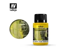 Vallejo_73827___MOSS_AND_LICHEN