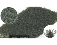 WEEDS_HIGH_CONIFER_GREEN