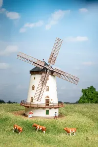 Auhagen_14490___WINDMOLEN_GOHLIS