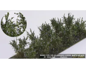 BUSHES_TYPE_C_LAVENDER