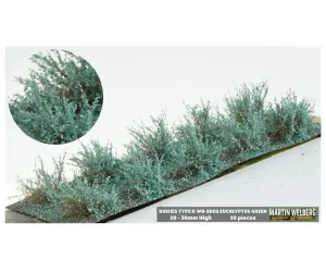 BUSHES_TYPE_D_EUCALYPTUS_GREEN