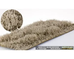 BUSHES_TYPE_F_HAWTHORNE