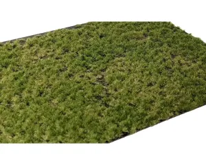 LAYERED_TUFTS_2_2MM_LATE_SUMMER