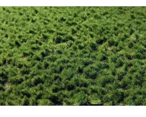 LAYERED_TUFTS_2_2MM_SUMMER