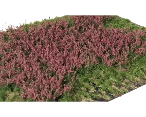 LAYERED_TUFTS_FLOWERS_RED