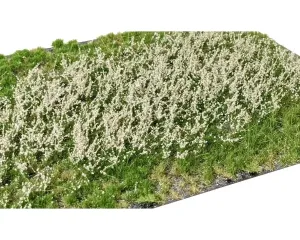 LAYERED_TUFTS_FLOWERS_SAND