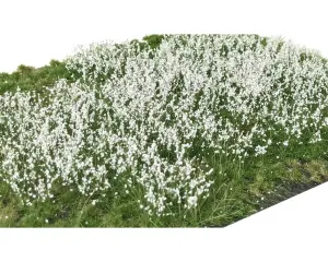 LAYERED_TUFTS_FLOWERS_WHITE
