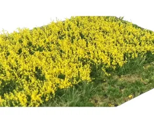 LAYERED_TUFTS_FLOWERS_YELLOW
