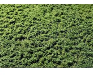 LAYERED_TUFTS_WEEDS_2_2MM_SUMMER