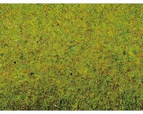 Noch_00280___GRASMAT_ZOMERWEIDE__120_X_60_CM