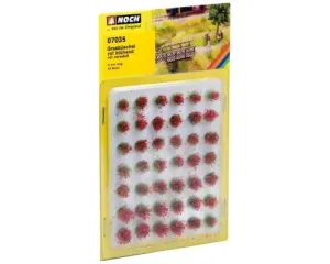Noch_07035___GRASBOSJES_XL_BLOEIEND_ROOD