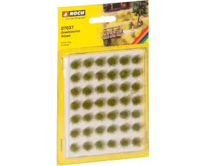 Noch_07037___GRASBOSJES_WEIDE