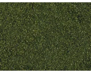 Noch_07301___LOOF_FOLIAGE_DONKERGROEN