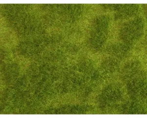Noch_07470___NATUR___WEELDERIGE_WEIDE__25_X_25_CM