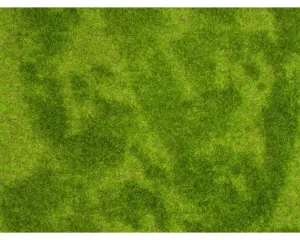 Noch_07471___NATUR___RIETWEIDE__25_X_25_CM