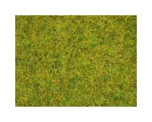 Noch_08151___GRAS_ZOMERWEIDE_2_5MM