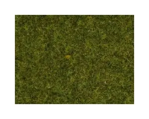 Noch_08152___GRAS_WEIDE_2_5_MM