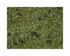 Noch_08157___GRAS_BOSBODEM_2_5_MM