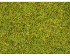Noch_08310___GRAS_ZOMERWEIDE_2_5_MM