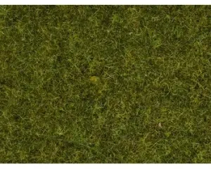 Noch_08312___GRAS_WEIDE_2_5_MM