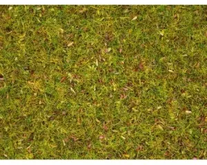 Noch_08330___GRAS_BLOEMENWEIDE_2_5_MM