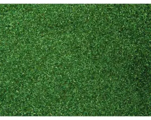 Noch_08372___STROOIMATERIAAL_MIDDEN_GROEN