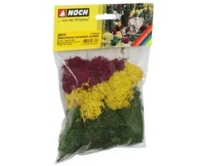 Noch_08630___MOS_HERFSTKLEUREN_35_GR