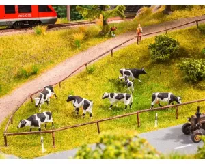 Noch_12851___KOEIENWEIDE__MET_GELUIDSMODULE_