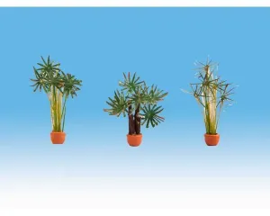 Noch_14024___PALMEN