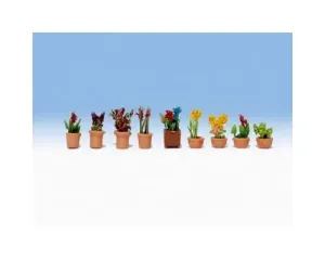 Noch_14080___SIERPLANTEN_IN_POTTEN