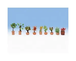 Noch_14082___SIERPLANTEN_IN_GROTE_POTTEN