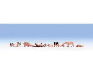 Noch_15712___VARKENS