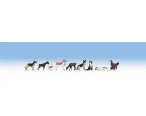 Noch_15717___HONDEN