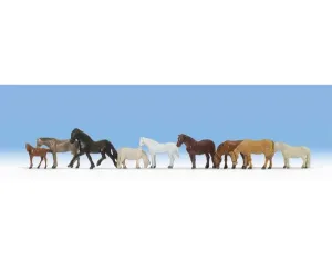 Noch_15761___PAARDEN