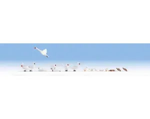 Noch_15774___ZWANEN_EN_EENDEN