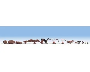 Noch_15775___VOGELS