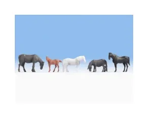 Noch_18215___PAARDEN