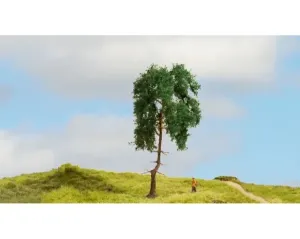Noch_20145___APPELBOOM_8_CM