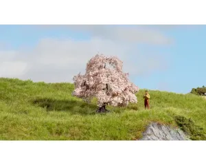 Noch_20147___KIRSCHBAUM