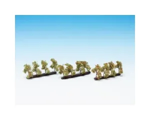 Noch_21537___PLANTAGEBOMEN_MET_APPELS__24_STUKS__2_CM_HOOG