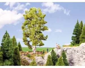 Noch_21641___BERK_MET_DUBBELE_STAM__19_CM_HOOG