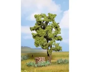 Noch_21660___ACACIA_15_CM