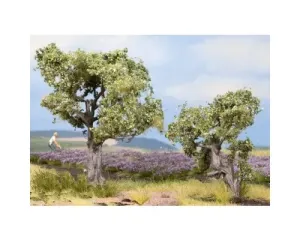 Noch_21995___2_OLIJFBOMEN