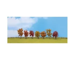 Noch_25070___7_HERFSTBOMEN