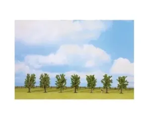Noch_25088___7_LOOFBOMEN_8_CM
