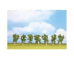 Noch_25096___7_BERKENBOMEN_10_CM