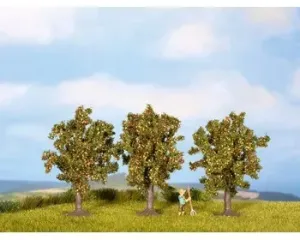 Noch_25113___3_APPELBOMEN_8_CM