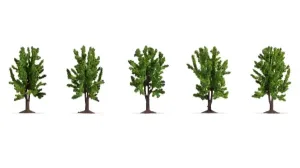 Noch_25620___LOOFBOMEN__5_STUKS_