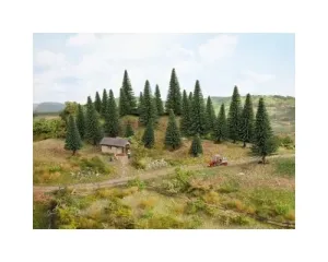 Noch_32820___DENNEN__25_STUKS__3_5___9_CM_HOOG