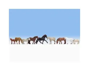 Noch_36761___PAARDEN